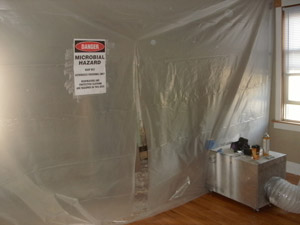 Chicago Mold Removal, Residential Mold Removal, Home Mold Removal, Mold Removal Services